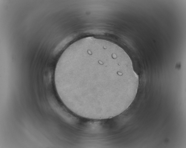 X0000111520120200908251147