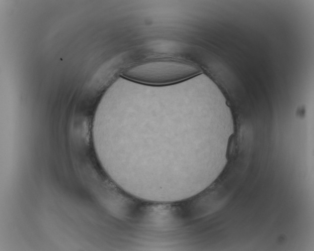 X0000111520121200908251147