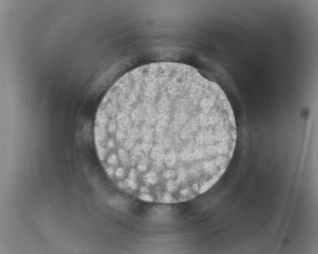 X0000111520123200908251147