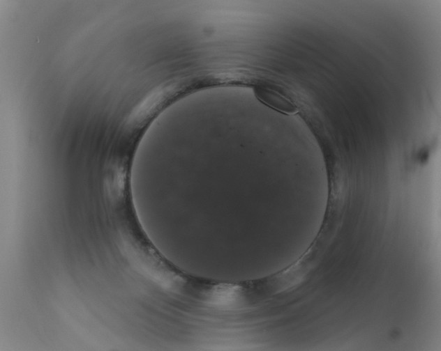 X0000111520124200908251147
