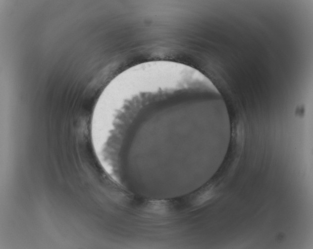 X0000111520127200908251147