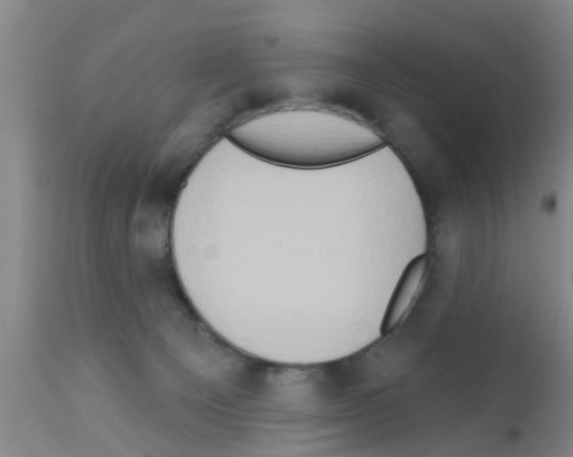 X0000111520129200908251147