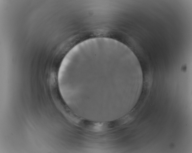 X0000111520130200908251147