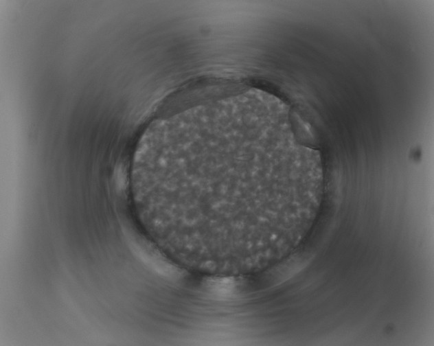 X0000111520131200908251147