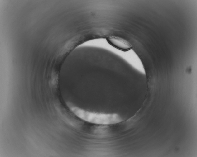 X0000111520132200908251147