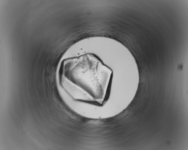 X0000111520133200908251147