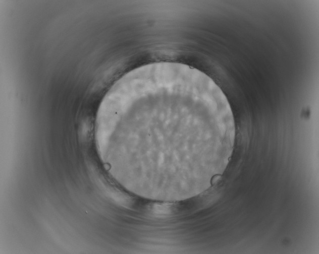 X0000111520134200908251147