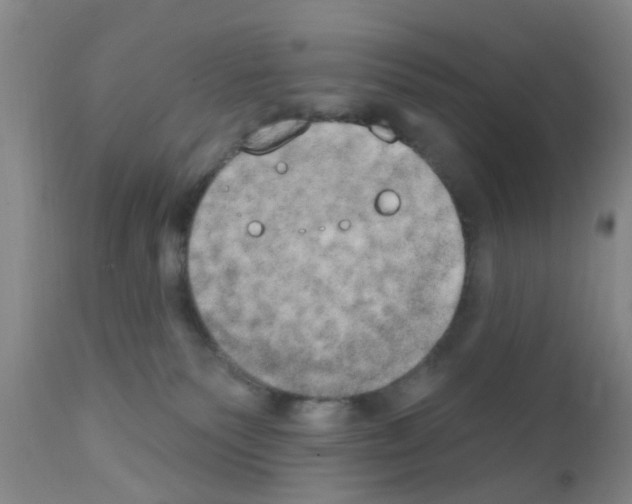 X0000111520135200908251147