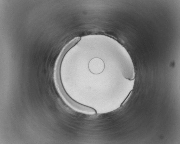 X0000111520136200908251147