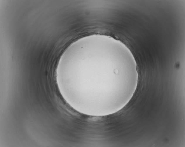 X0000111520137200908251147