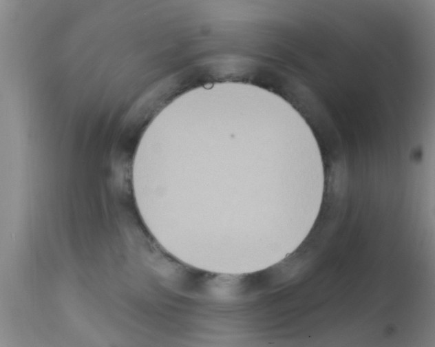 X0000111520138200908251147
