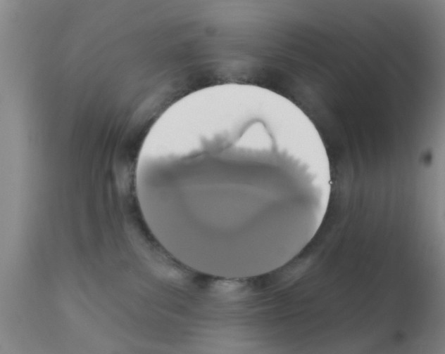 X0000111520139200908251147