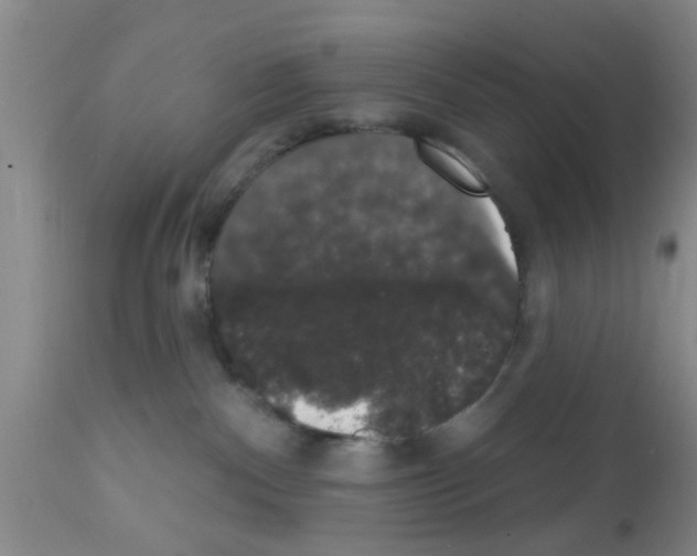 X0000111520140200908251147
