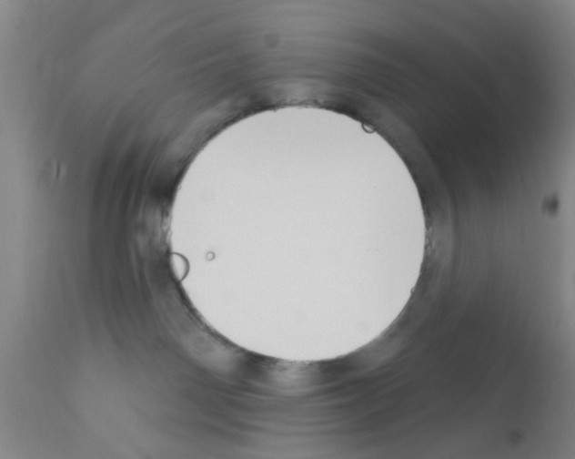 X0000111520142200908251147