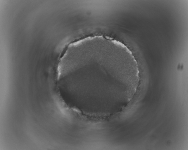 X0000111520144200908251147