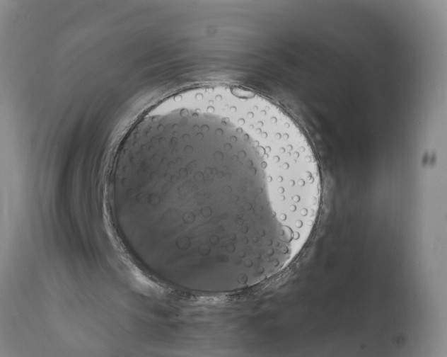 X0000111520145200908251146