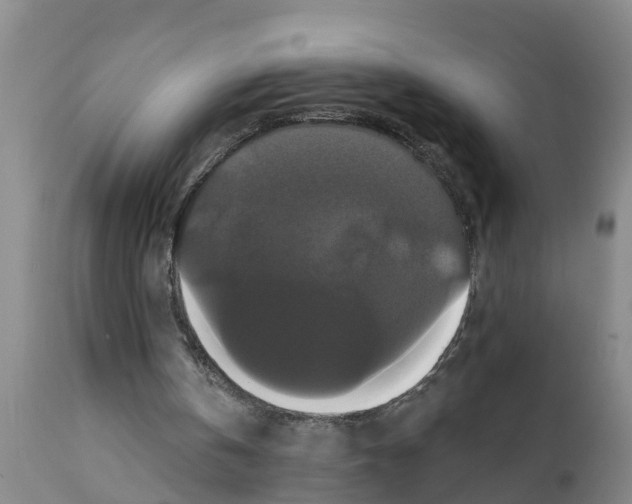 X0000111520146200908251146