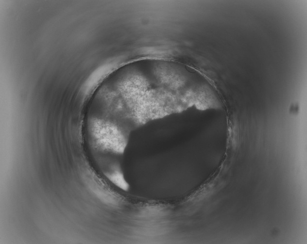 X0000111520149200908251146