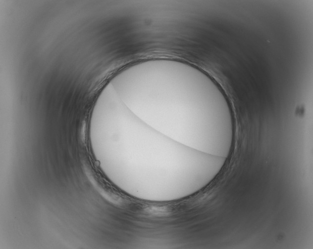 X0000111520157200908251146