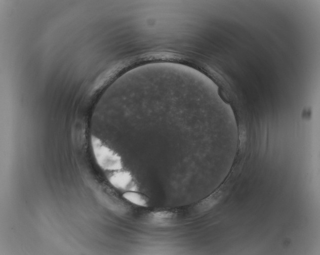 X0000111520158200908251146