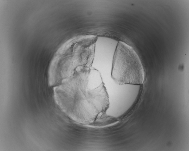 X0000111520161200908251146