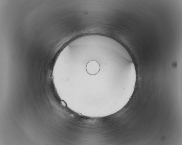 X0000111520164200908251146
