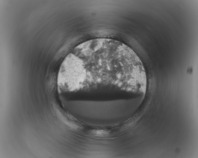 X0000111520165200908251146