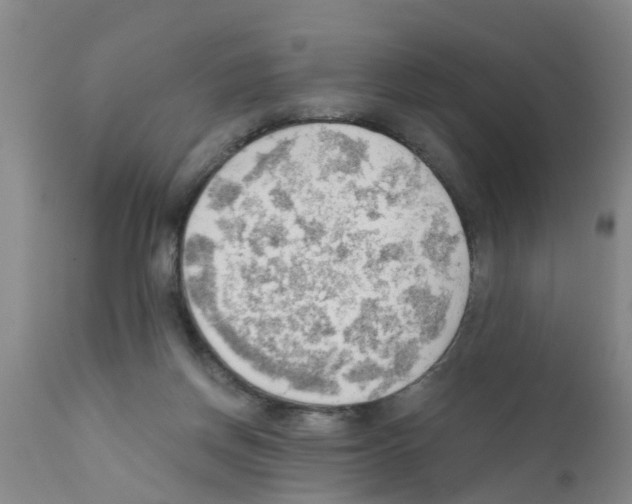 X0000111520166200908251146