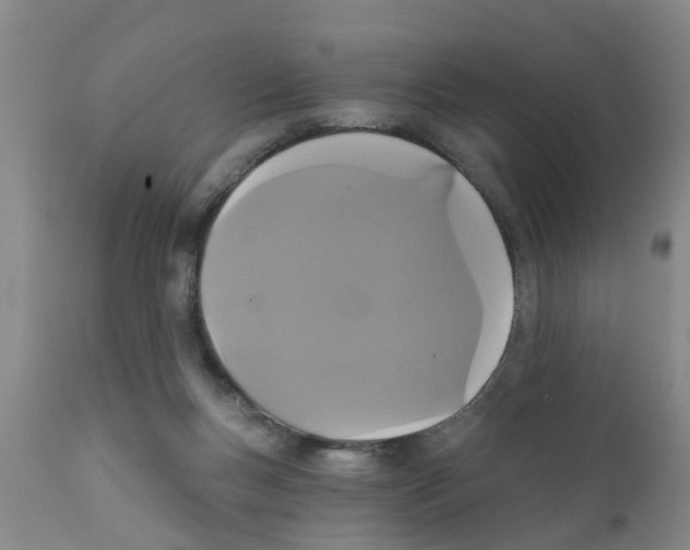 X0000111520167200908251146