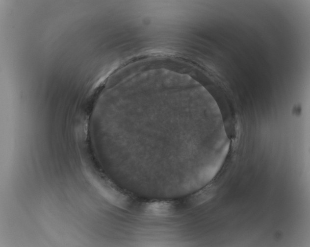 X0000111520168200908251146