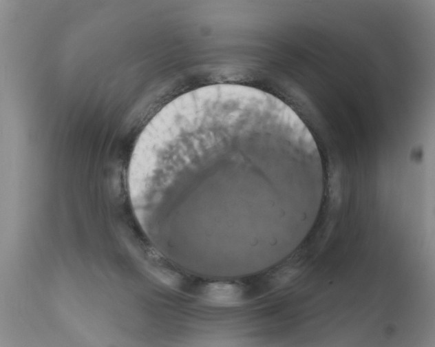 X0000111520169200908251146