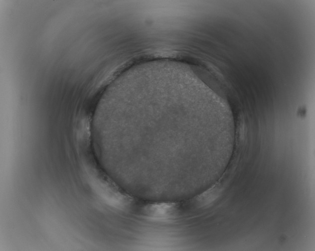 X0000111520172200908251146