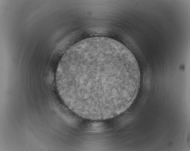 X0000111520173200908251146