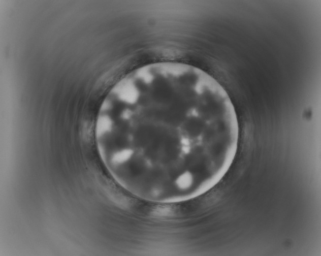 X0000111520177200908251146