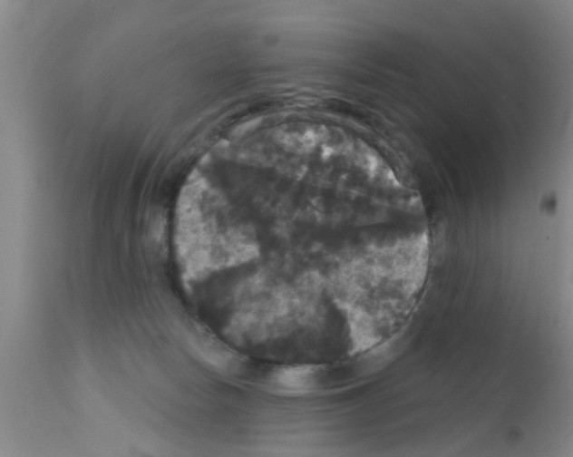 X0000111520178200908251146