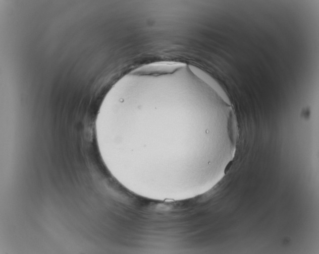 X0000111520180200908251146