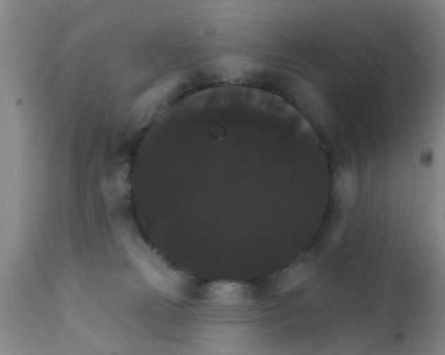 X0000111520181200908251146