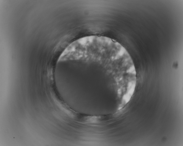 X0000111520182200908251146