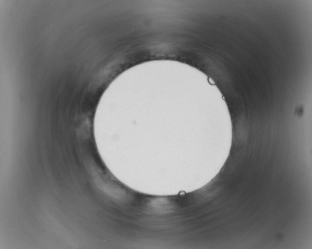 X0000111520183200908251146