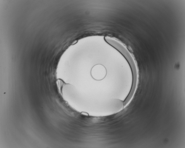 X0000111520184200908251146