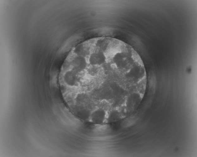 X0000111520185200908251146