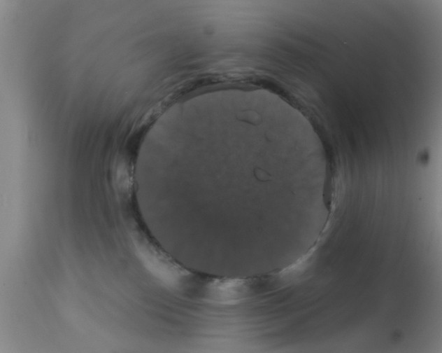 X0000111520186200908251146