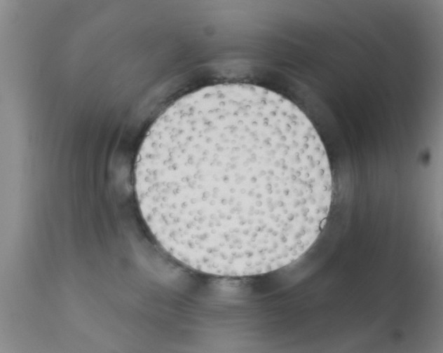 X0000111520187200908251146