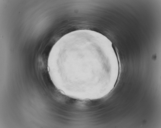X0000111520190200908251146