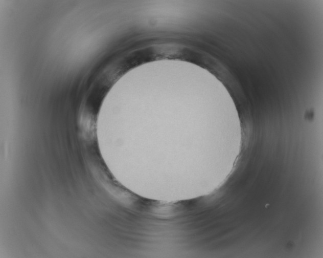 X0000111520191200908251146