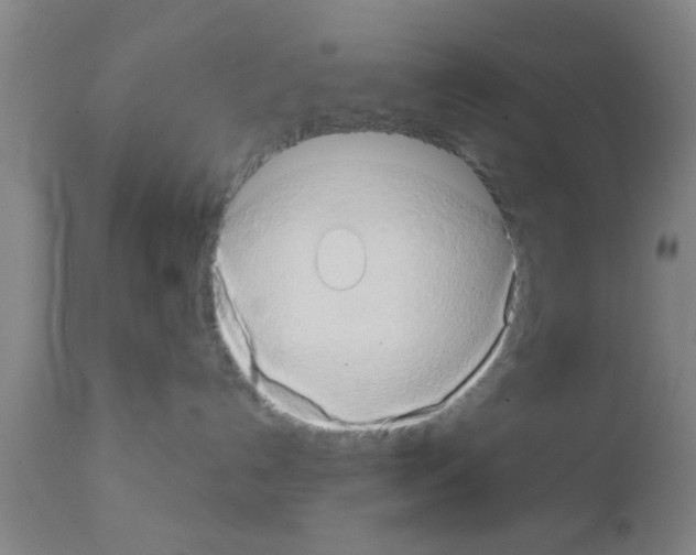 X0000111520192200908251146