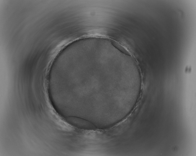 X0000111520193200908251146