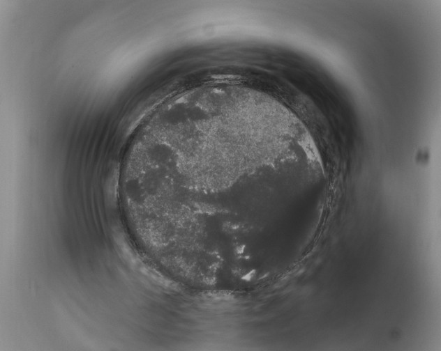 X0000111520194200908251146