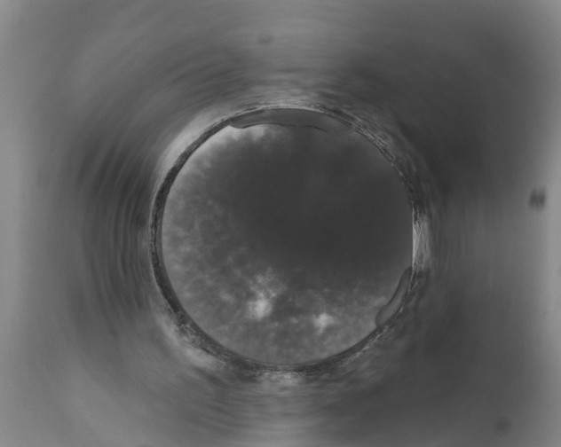 X0000111520195200908251146