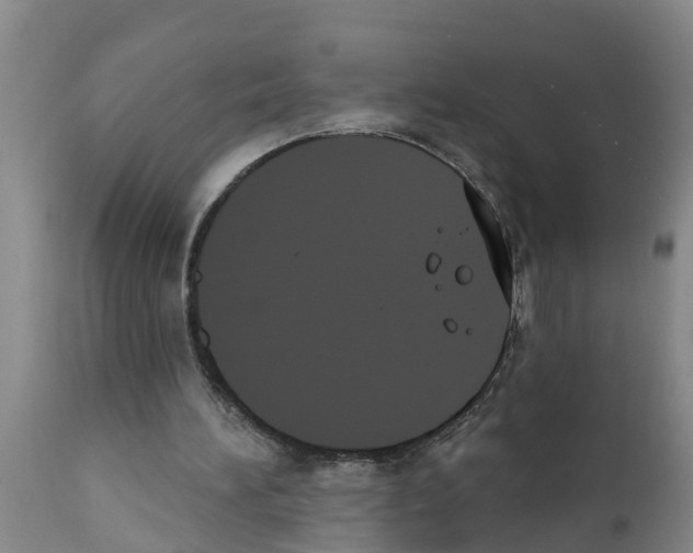 X0000111520196200908251146
